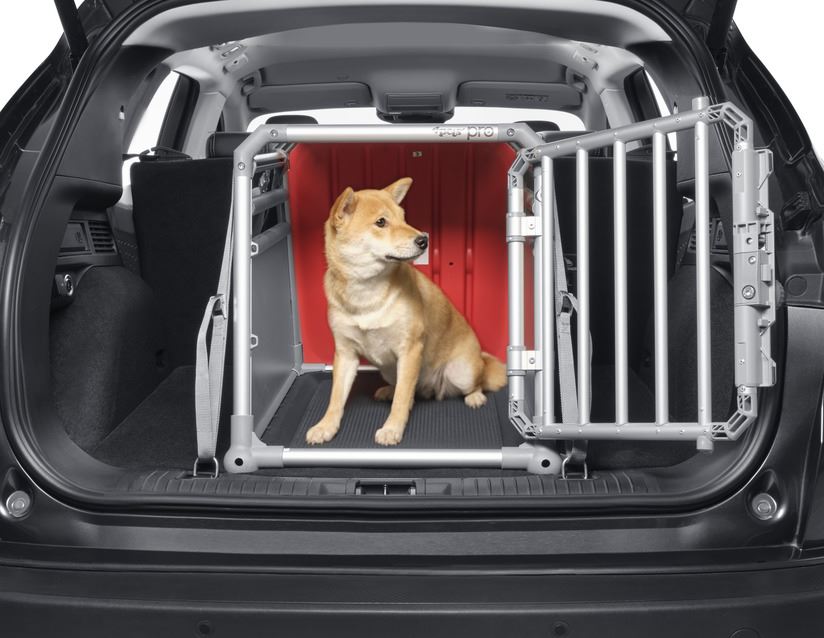 a-place-to-buy-4pets-hundebox-pro-1-klein-supply_6.jpg